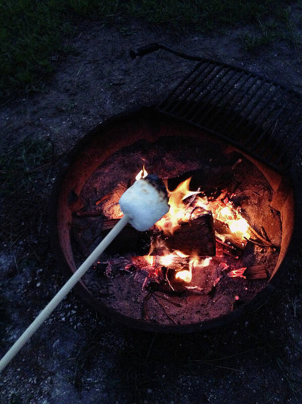 Outdoors Poster featuring the photograph Roasting Marshmallows Over Campfire by Jenny Wymore - Sunkissed Photography