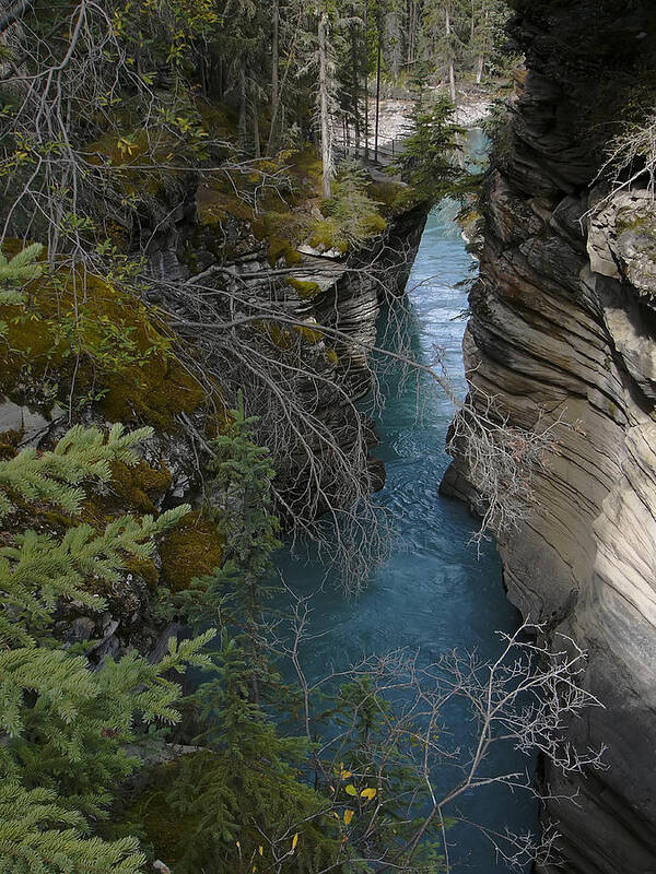 Photograph Poster featuring the photograph Rocky Mountain Wonder by Rhonda McDougall