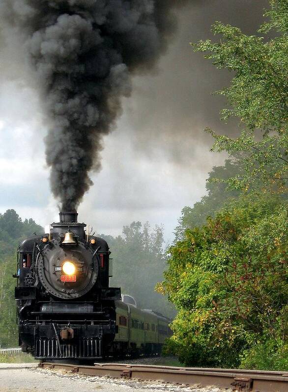 Train Poster featuring the photograph Steamin' in the Valley #2 by Carolyn Jacob