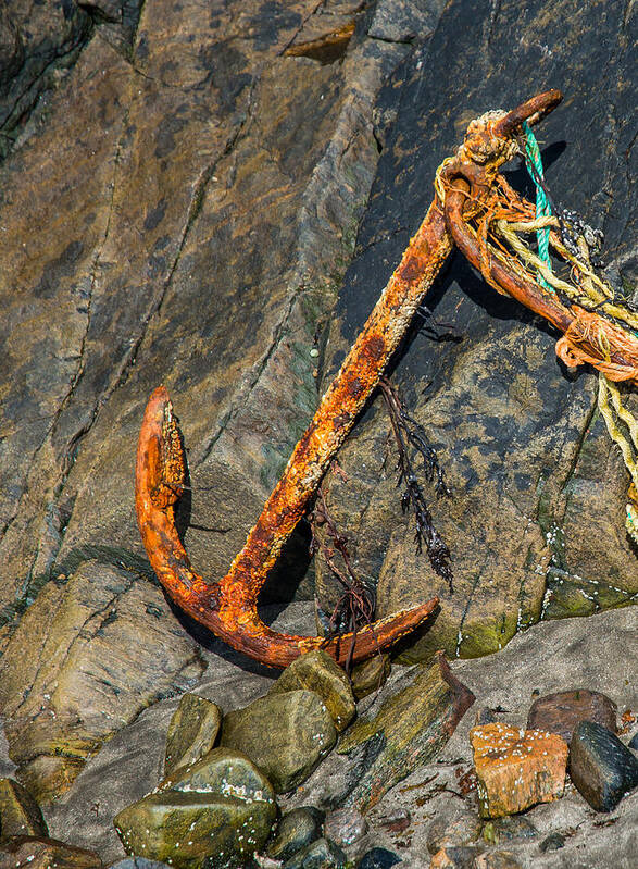 Anchor Poster featuring the photograph Rusty Anchor by Andreas Berthold