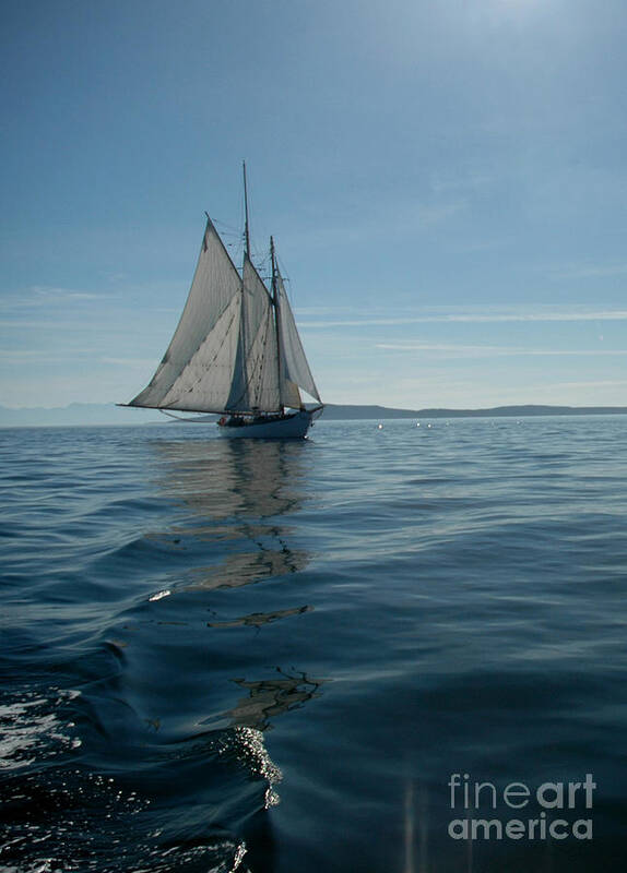 Sailboat Poster featuring the photograph Sail the Blue by NightVisions
