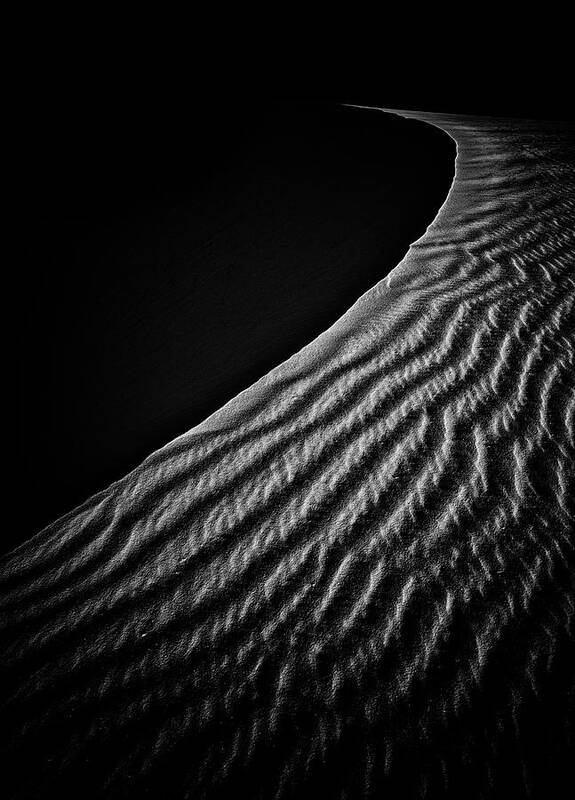 Sand Poster featuring the photograph Sand Dune by Lydia Jacobs