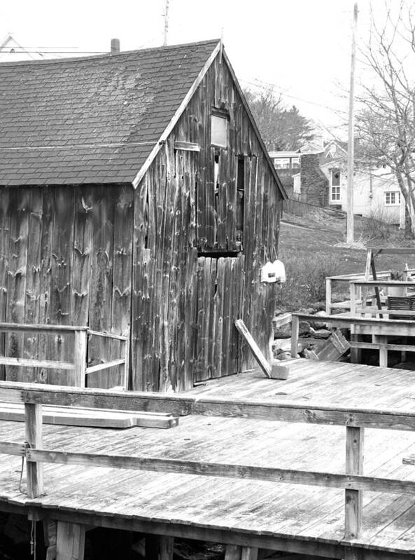 Shack Poster featuring the photograph Shack by Becca Wilcox