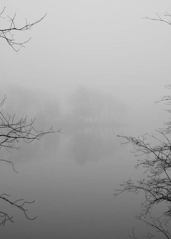 Foggy Poster featuring the photograph Simple Pleasures by Luke Moore