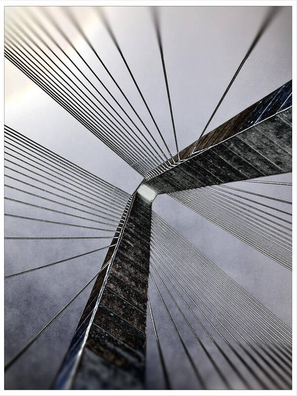Charleston Poster featuring the photograph Skybridge by Dorian Hill
