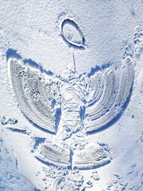 Snow Poster featuring the photograph Snow Angel by Larry Hunter