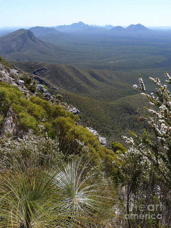 Australia Poster featuring the photograph Stirling Range Mts - Western Australia by Phil Banks