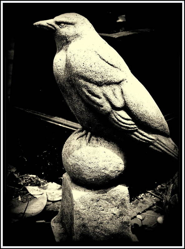 Pedestal Poster featuring the photograph Stone Crow on Stone Ball by Kathy Barney