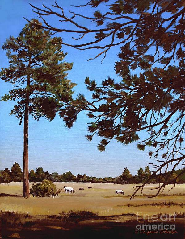 Scene Poster featuring the painting Summer Serenity by Suzanne Schaefer