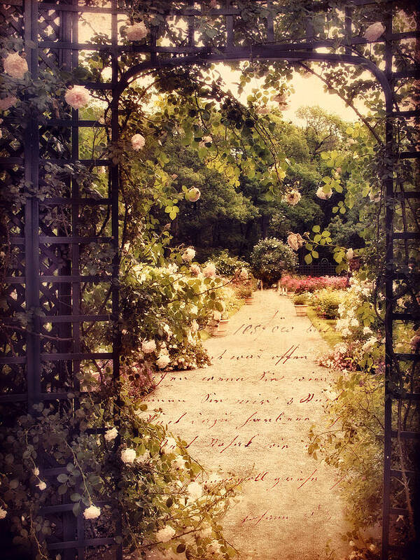 Gate Poster featuring the photograph Summer Sonnet by Jessica Jenney