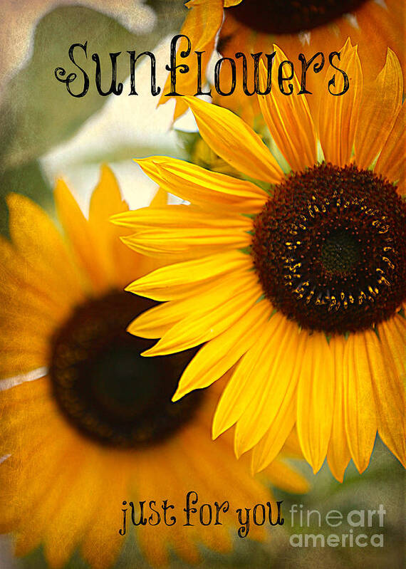 Sunflower Poster featuring the photograph Sunflowers Just for You by Carol Groenen