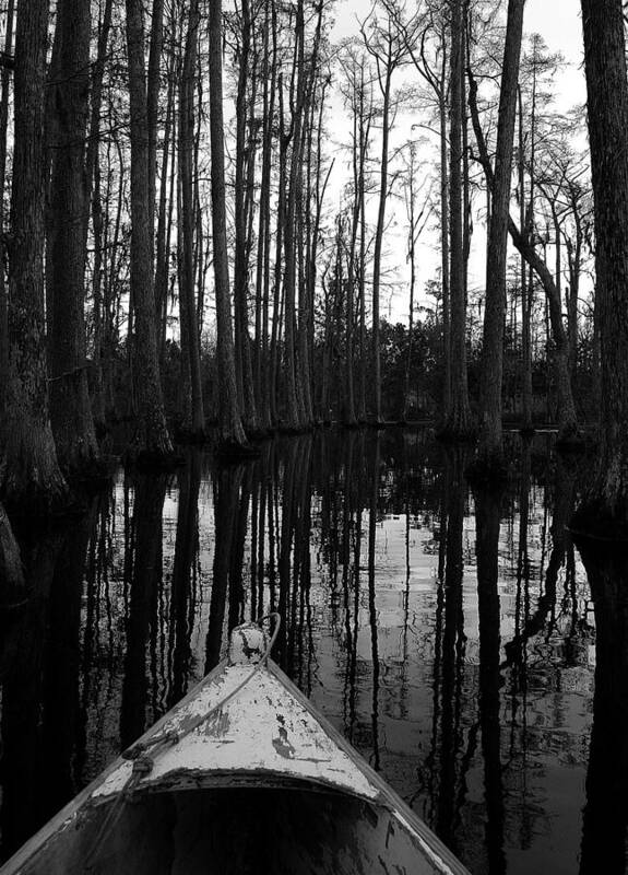 Black And White Poster featuring the photograph Swamp Boat by Shirley Radabaugh