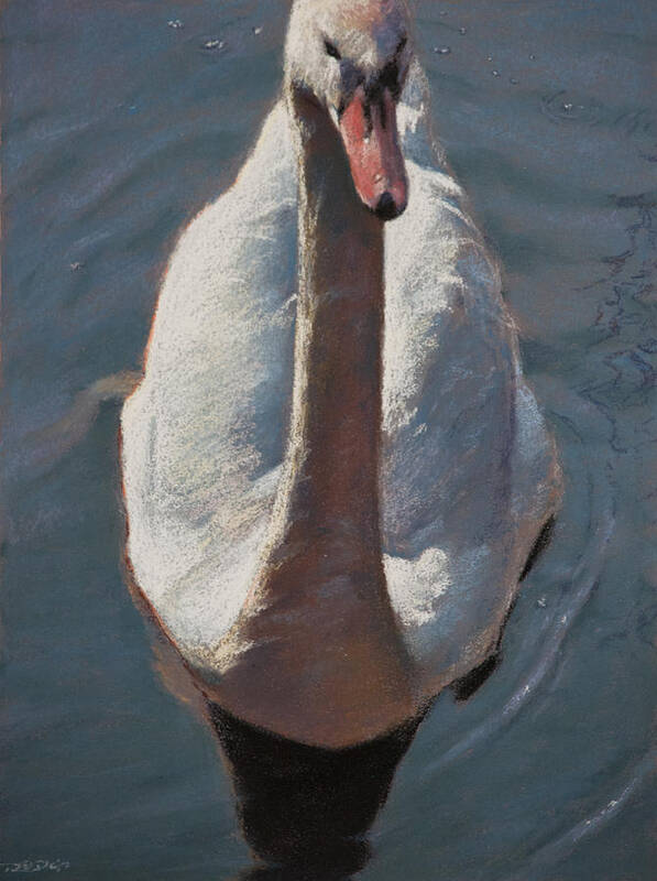 Animal Poster featuring the pastel Swan by Christopher Reid