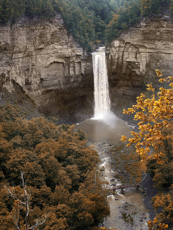 Landscape Poster featuring the photograph Taughannock Falls Park by Jessica Jenney