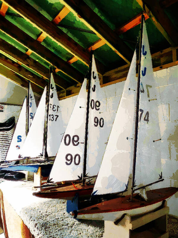 Sailing Poster featuring the photograph The Boat Shed by Steve Taylor