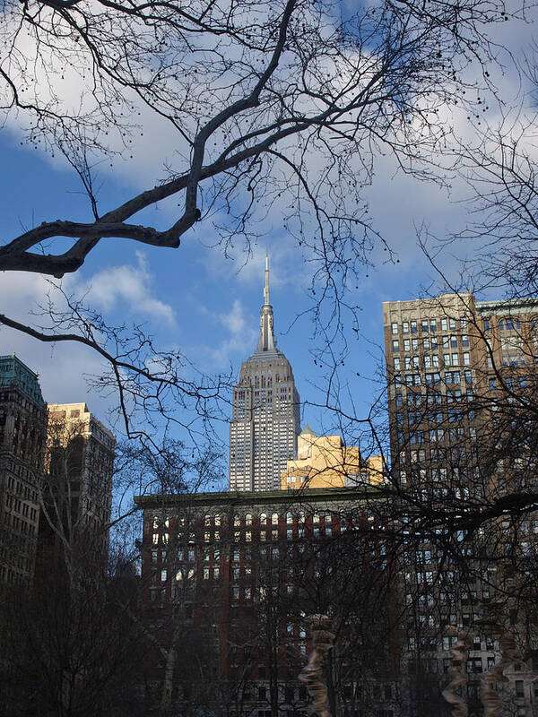 January 2015 Poster featuring the photograph The Empire State Building by Mary Capriole