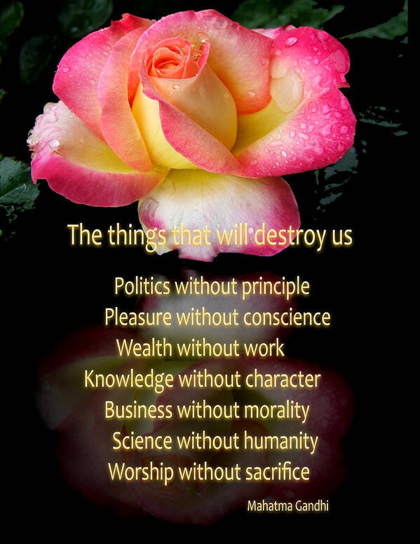 Quote Poster featuring the photograph The things that will destroy us by George Bostian
