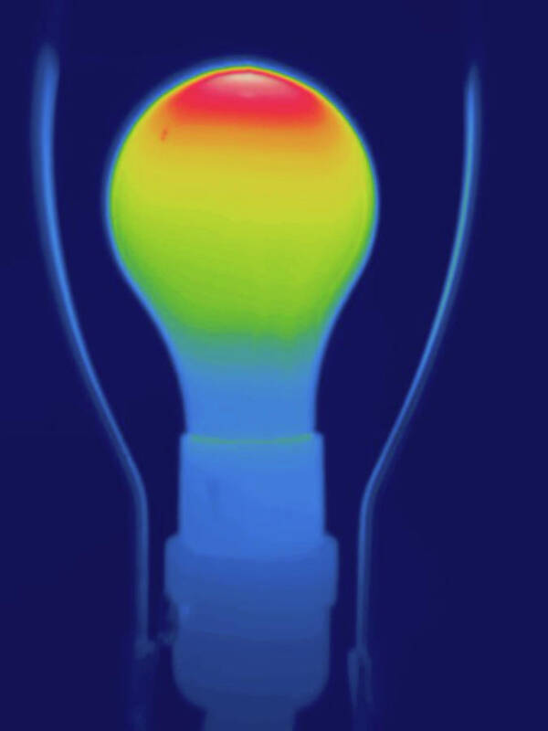 Thermography Poster featuring the photograph Thermogram Incandescent Light Bulb by Science Stock Photography/science Photo Library