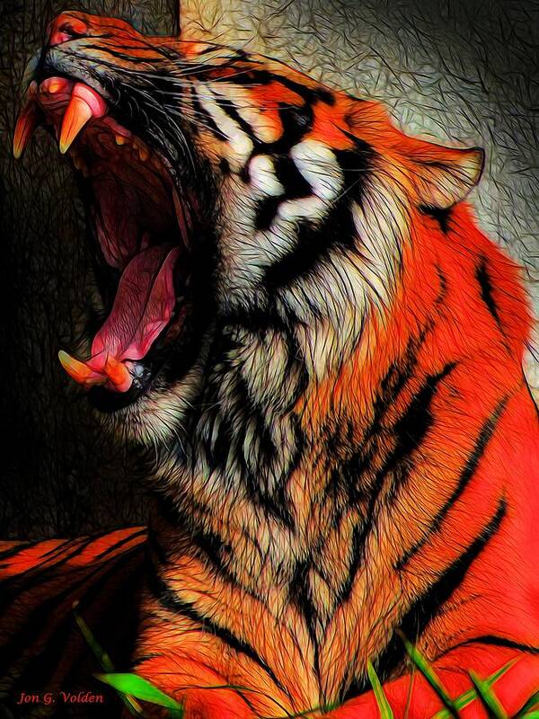 Tiger Yawning Poster featuring the painting Tiger Yawning by Jon Volden