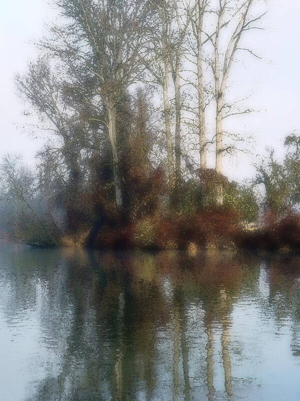 Pacific Poster featuring the photograph Tree and Reflection by Mamoun Sakkal