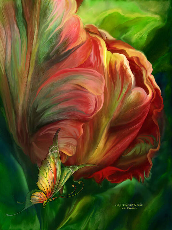 Tulip Poster featuring the mixed media Tulips - Colors Of Paradise by Carol Cavalaris