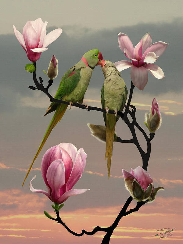 Alexandrine Parakeet Poster featuring the painting Two Parrots in Magnolia Tree by M Spadecaller
