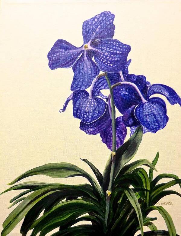 Vanda Sausai Blue Orchid Poster featuring the painting Vanda Sausai Blue Orchid by Mary Palmer