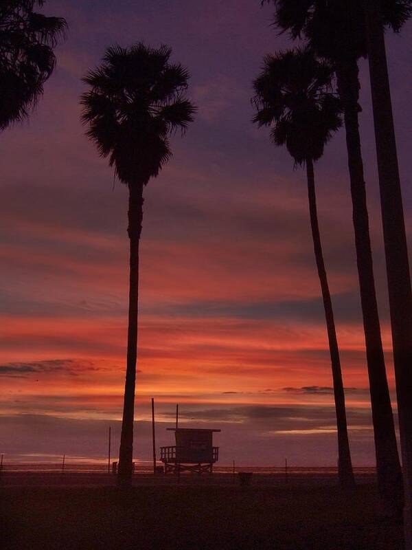 Beach Poster featuring the photograph Venice Beach Sunset by Steve Ondrus