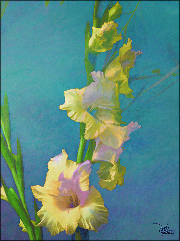 Nature Poster featuring the painting Watercolor Study of My Garden Gladiolas by Douglas MooreZart