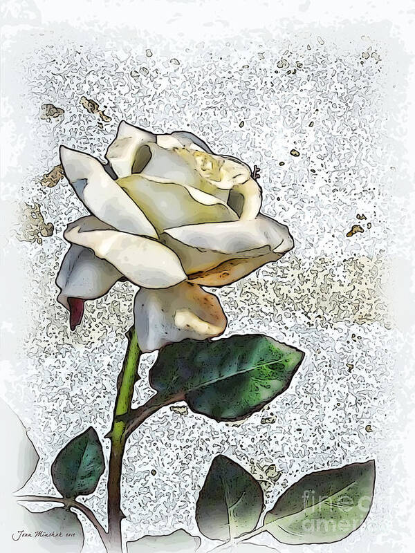 Rose Poster featuring the photograph White Rose by Joan Minchak