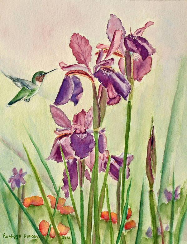 Hummingbird Poster featuring the painting Wild Iris Nectar by Kathryn Duncan