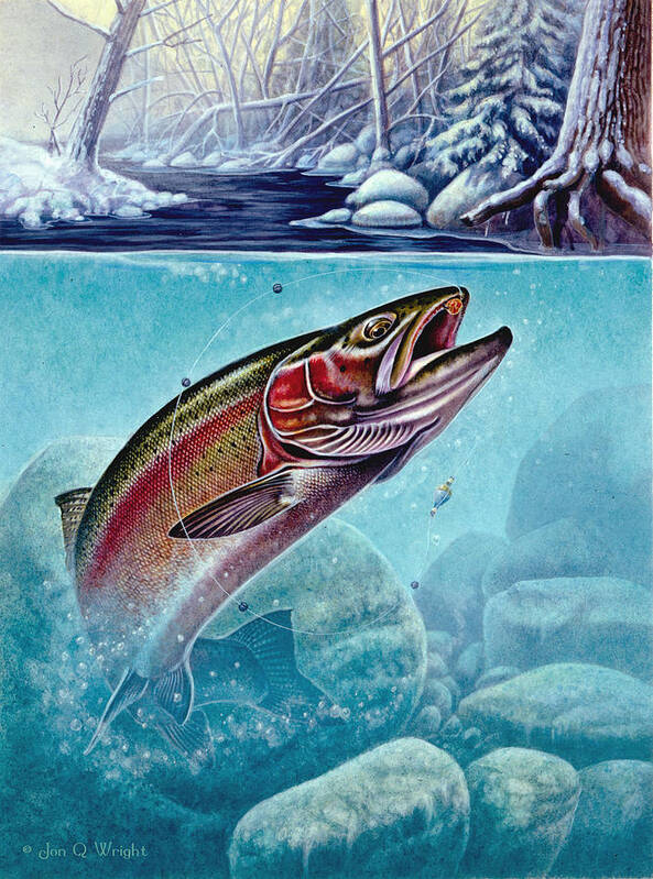 Jon Q Wright Poster featuring the painting Winter Steelhead by JQ Licensing