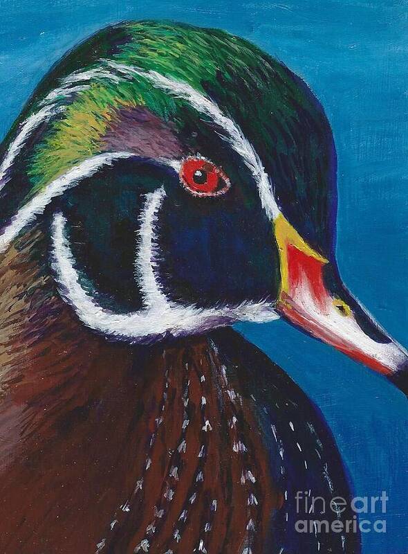 #ducks #wood Ducks #waterfowl #nature #wildlife #ponds #water Poster featuring the painting Wood Duck by Allison Constantino
