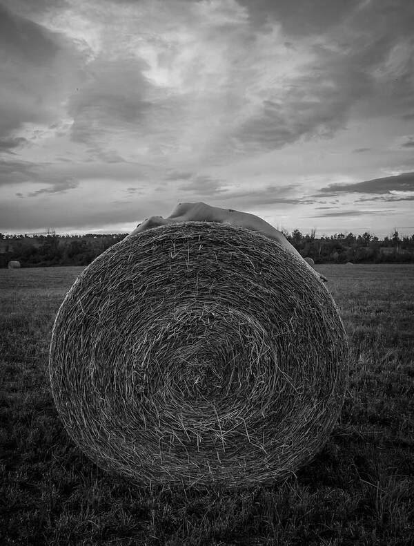 Black And White Poster featuring the photograph You Reap What You Sow by Blue Muse Fine Art
