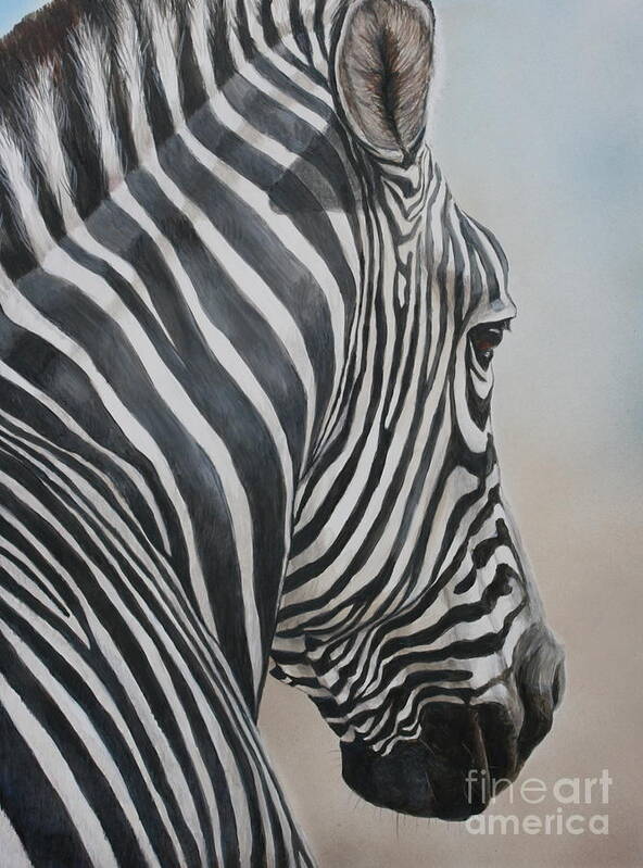 Zebra Poster featuring the painting Zebra Look by Charlotte Yealey