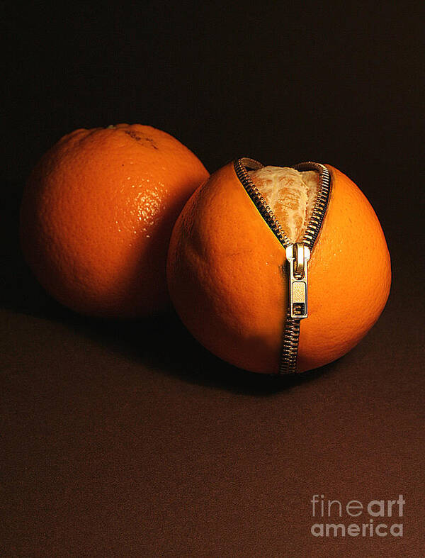 Idea Poster featuring the photograph Zipped Oranges by Jaroslaw Blaminsky
