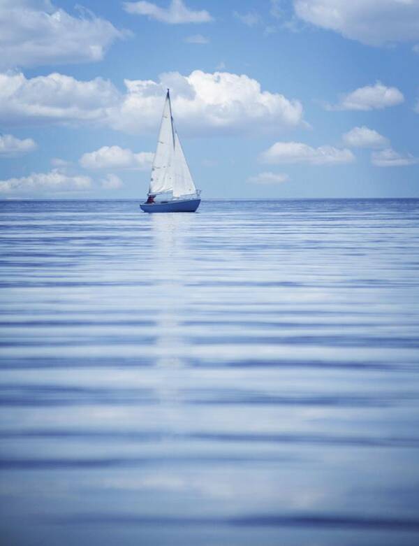 British Columbia Poster featuring the photograph A Sailboat #1 by Kelly Redinger