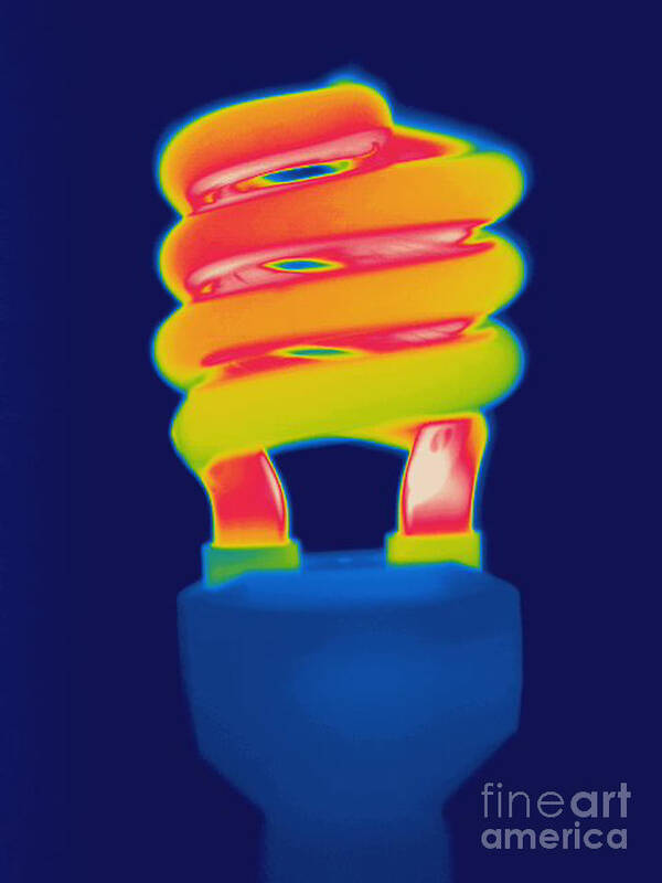 Thermogram Poster featuring the photograph Energy Efficient Fluorescent Light #1 by Ted Kinsman