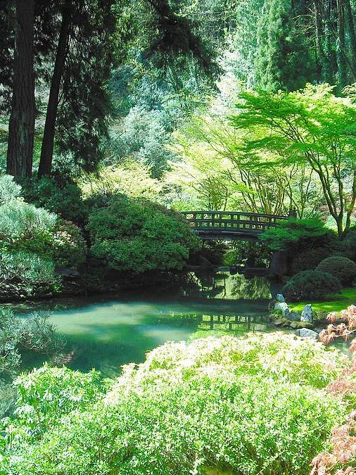 Japanese Garden Poster featuring the photograph Portland Japanese Garden #1 by Kelly Manning