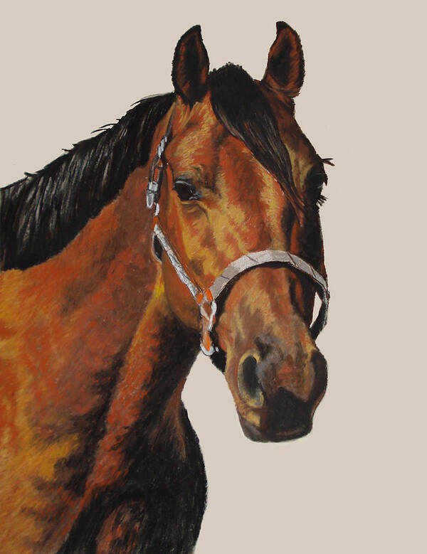 American Quarter Horse Poster featuring the pastel Quarter Horse #1 by Ann Marie Chaffin