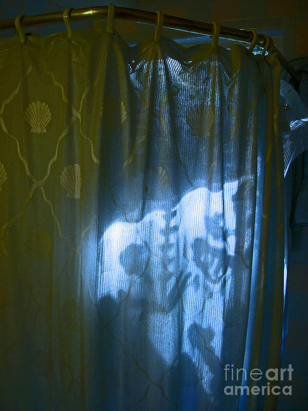 Shower Poster featuring the photograph Shower Shadows #1 by Beebe Barksdale-Bruner