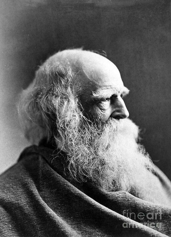 19th Century Poster featuring the photograph William Cullen Bryant #10 by Granger