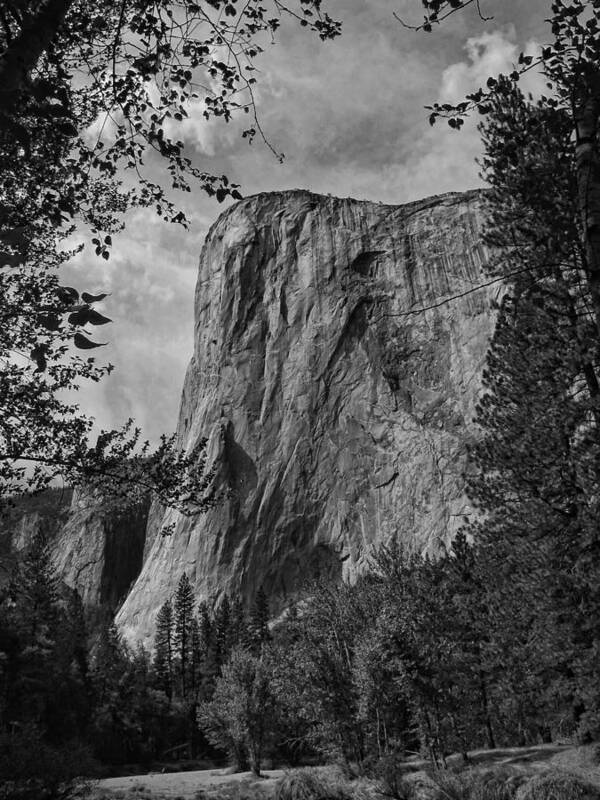 Yosemite Poster featuring the photograph Yosemite National Park #13 by Helaine Cummins