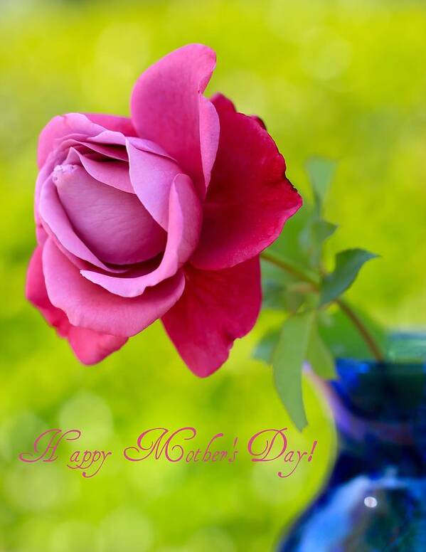 Mother's Day Card Poster featuring the photograph A Single Rose II Mother's Day Card by Heidi Smith