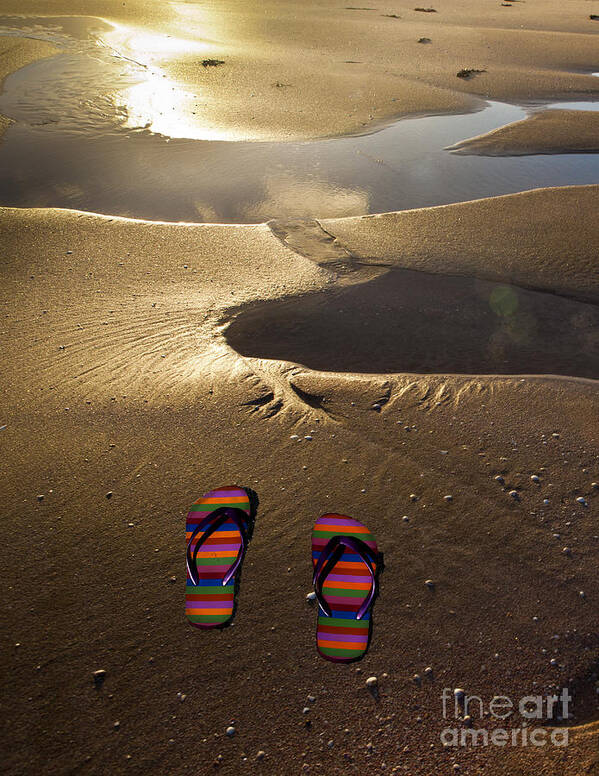 Thongs Poster featuring the photograph Abandoned thongs by Sheila Smart Fine Art Photography