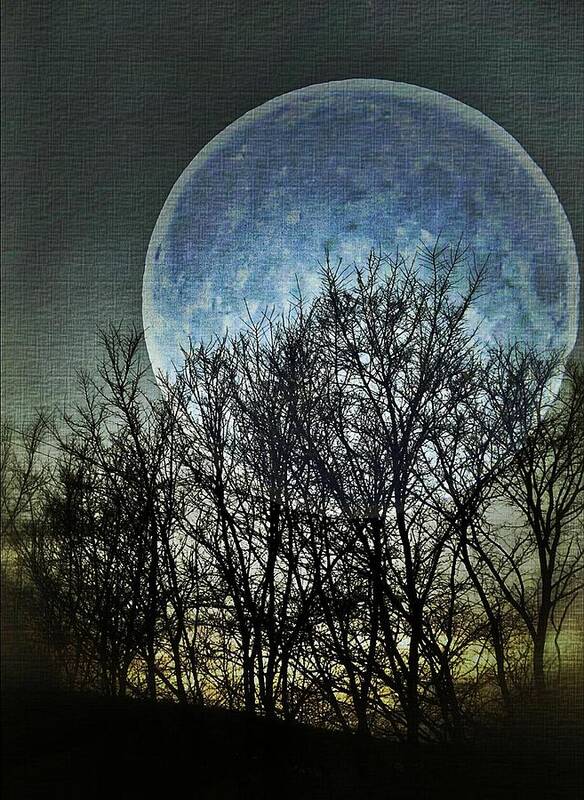 Moon Poster featuring the photograph Blue Moon by Marianna Mills