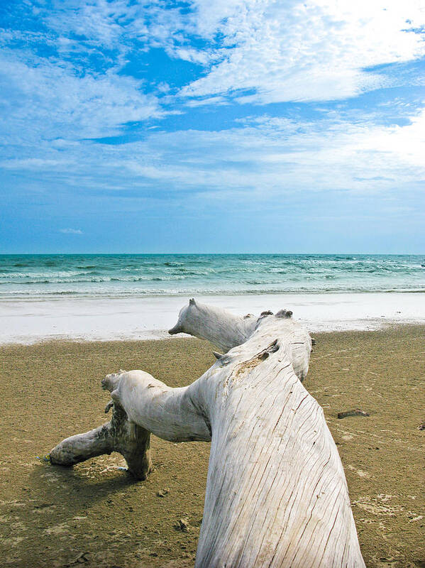 Beach Poster featuring the photograph Blue sea and sky with log on the beach by Nawarat Namphon