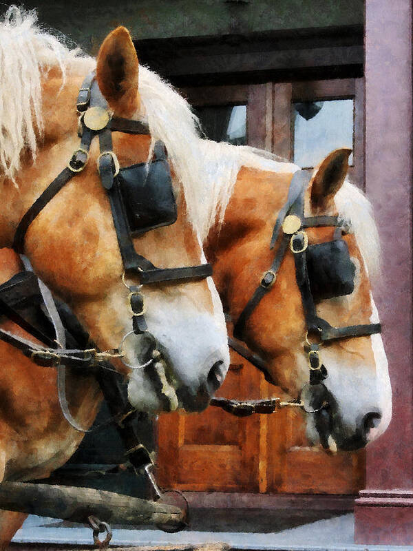 Horse Poster featuring the photograph Clydesdale Closeup by Susan Savad
