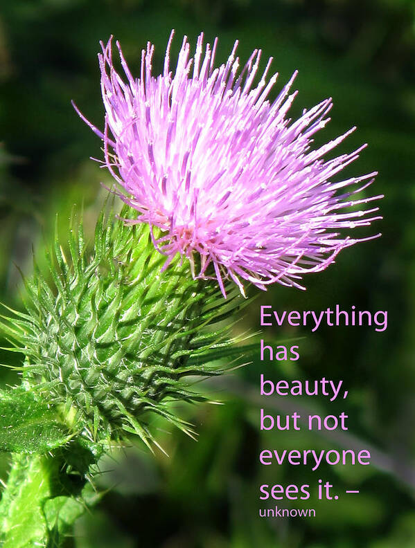 Weed Poster featuring the photograph Everything Has Beauty by Ian MacDonald