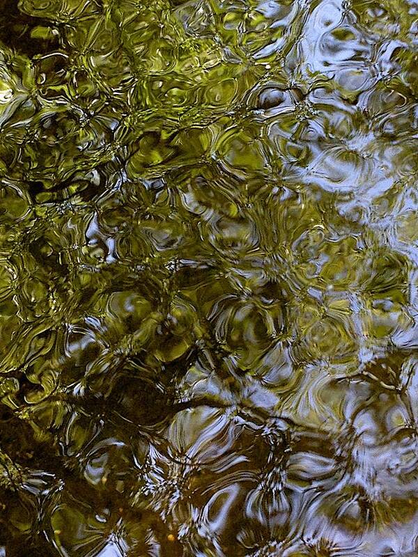 Brown Trout Poster featuring the photograph Green Dream by Joseph Yarbrough